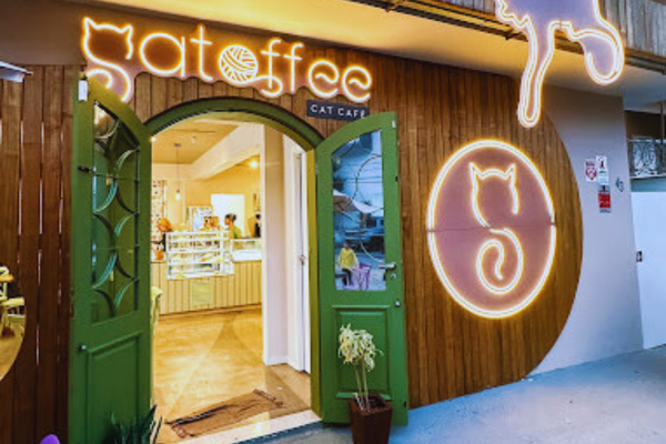 Gatoffee Cat Café